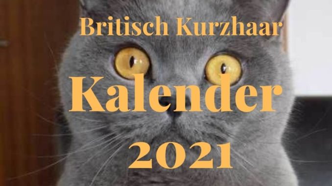 britisch-kurzhaar-kalender-2021 British Kurzhaar Kalender 2021